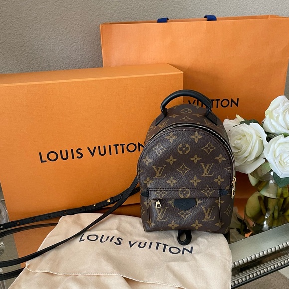 Louis Vuitton Palm Springs Mini - Picture 9 of 16